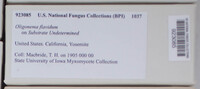 Image Associated With the Occurence